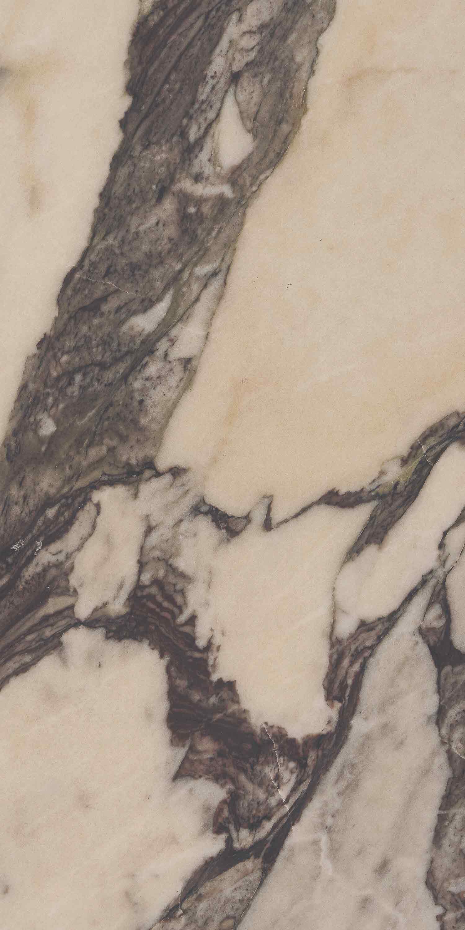 calacatta marble 