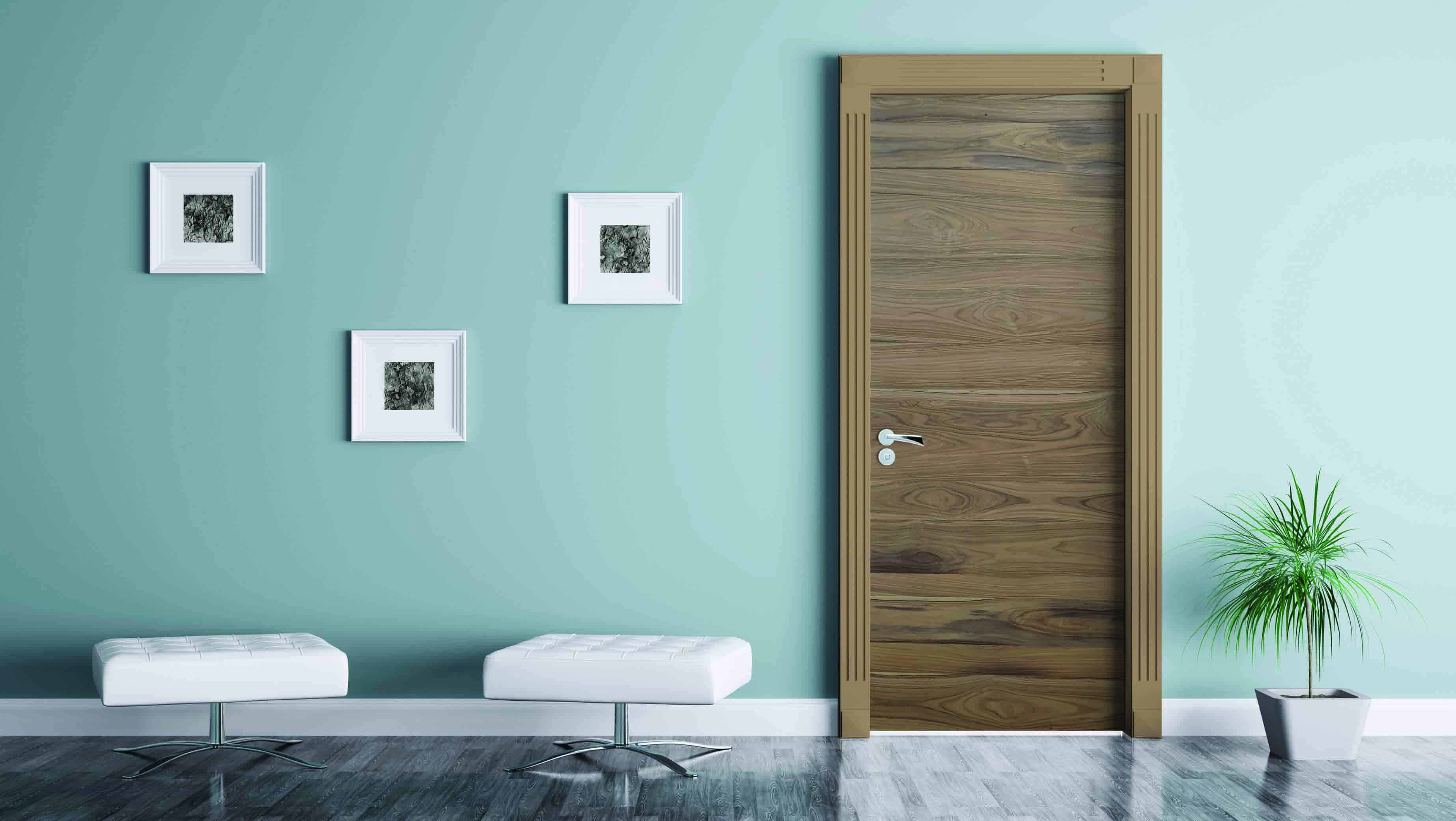 Which Type Of Door Is Best For Home