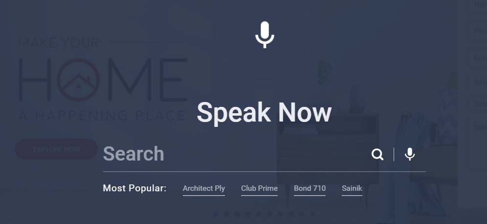 Centuryply Voice search