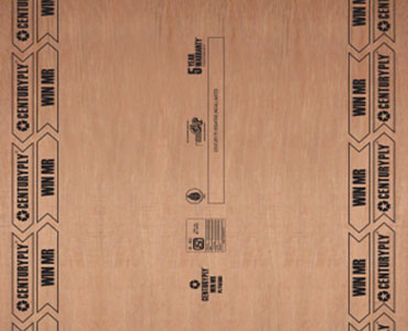 All You Need to Know About MR Grade Plywood