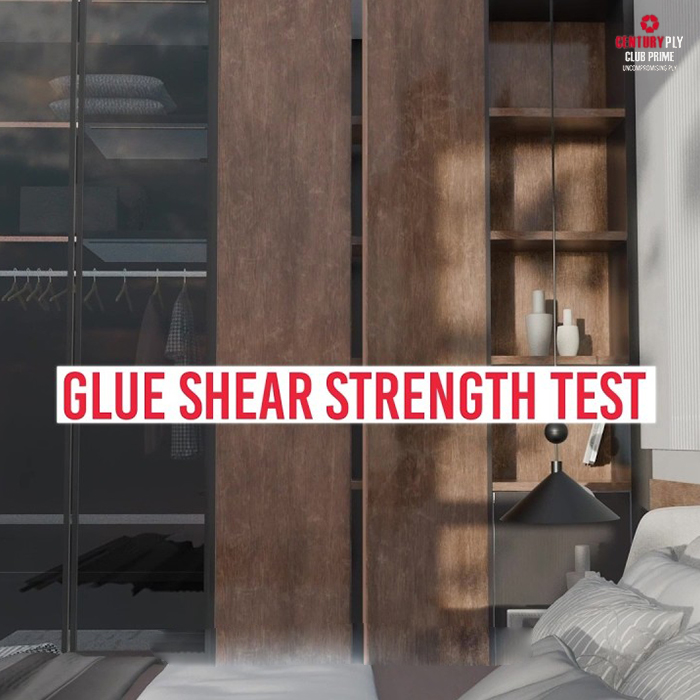 Glue Shear Strength