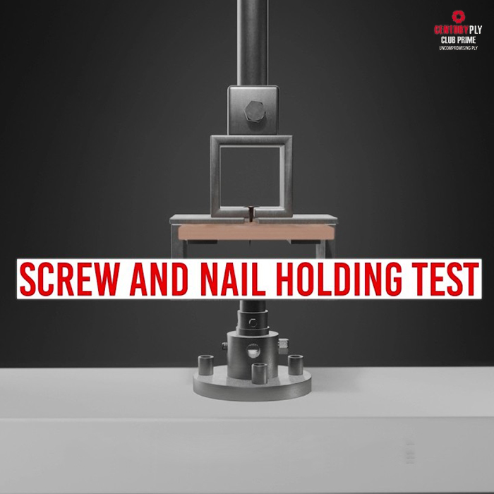 Nail Holding Strength