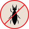 Borer & termite Prof Plywood