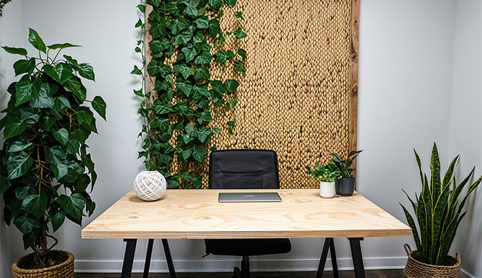 Building Dreams with CenturyPly’s Eshop: Your Guide to the Best in Plywood