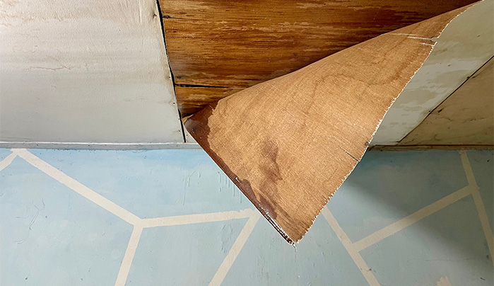 How to Protect Plywood from Termites and Fungal Attack?