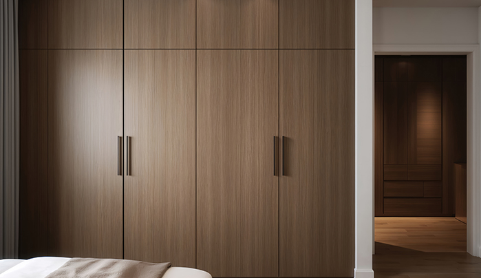 Smart Plywood Wardrobe Designs - CenturyPly