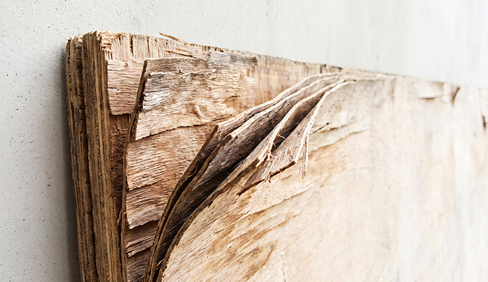 What are plywood - CenturyPly