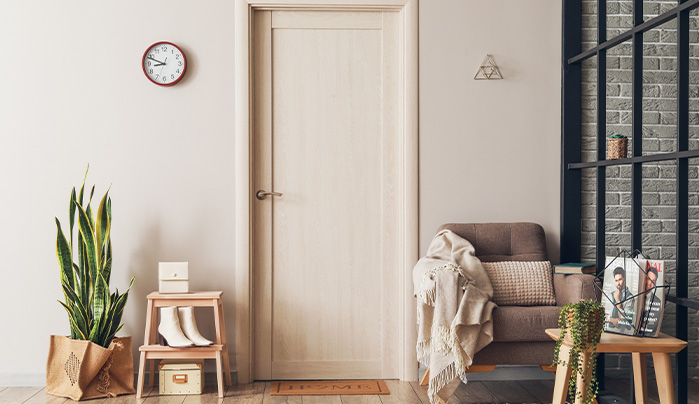 Stylish flush door for home - CenturyPly