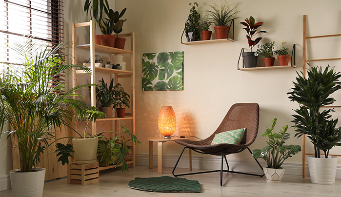 Plywood shelf - CenturyPly