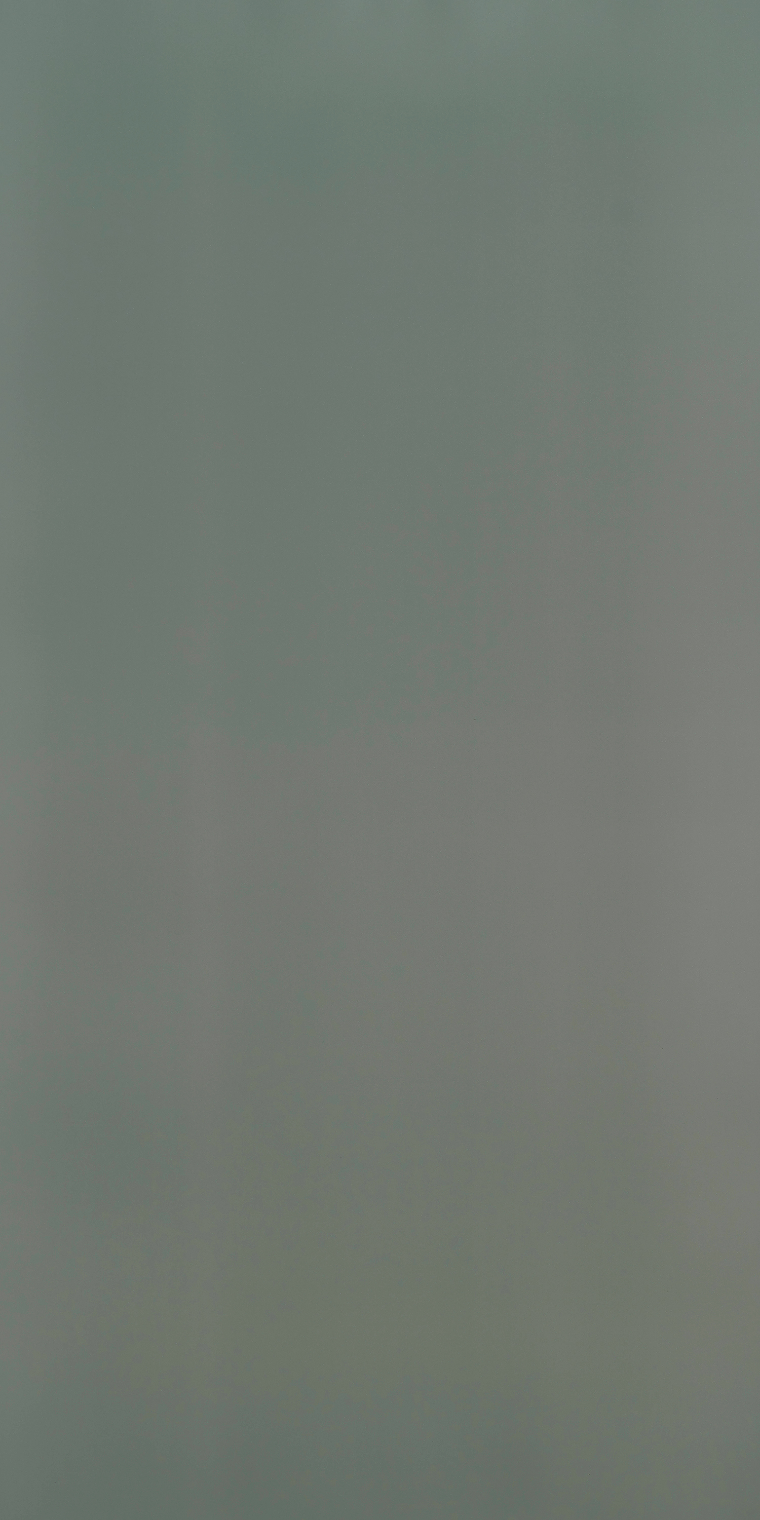 SainikLaminates Bling Studio Chiffon Lemongrass Chiffon S9104 CF