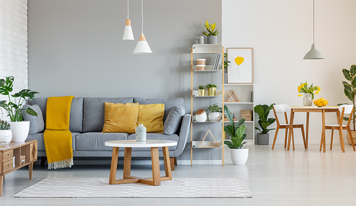 Living room furniture - CenturyPly