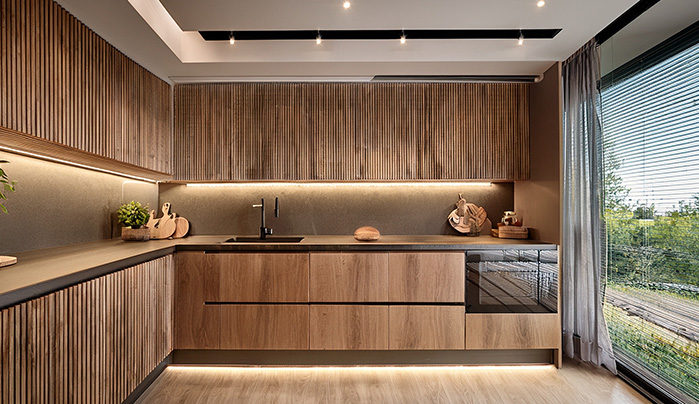 Modern WPC plywood cabinet - CenturyPly