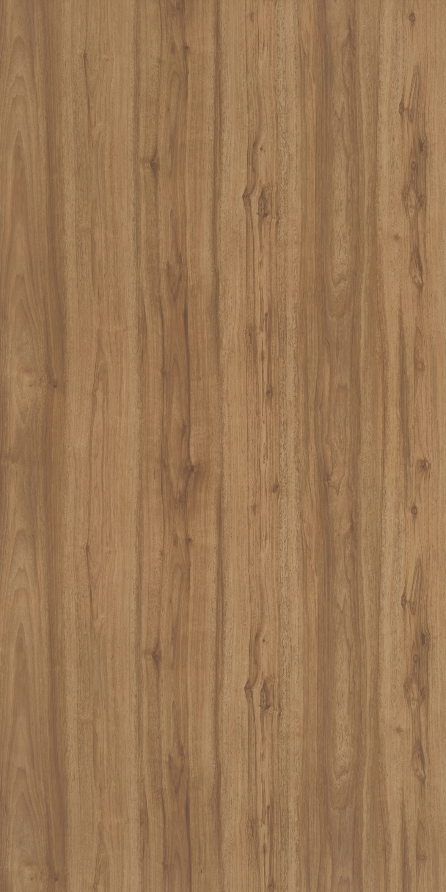 Century Ply Lookbook 1mm|Sylvan Walnut|5412 SU