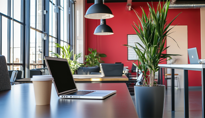 Accent Walls - Creative Small Office Design