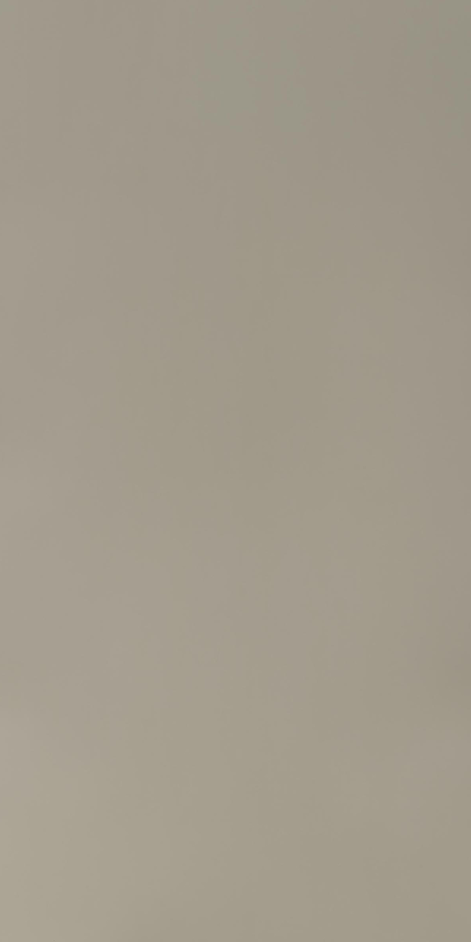 CenturyLaminates Starline Gris Beige 80166 SU Laminates