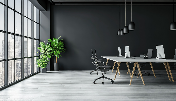 Monochrome Theme - Creative Small Office Design