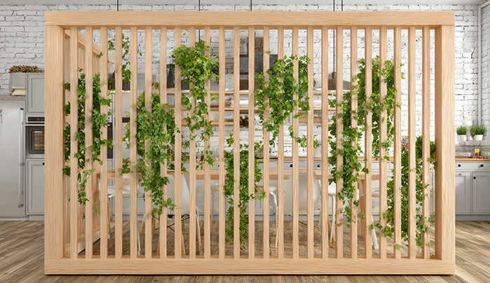 Plant Partition - Hall Partition Designs