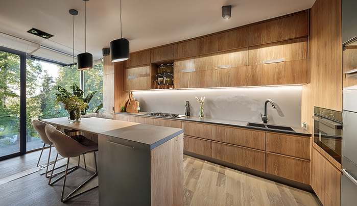 Plywood kitchen cabinet - CenturyPly