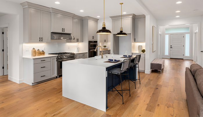 Laminate kitchen cabinet - CenturyPly