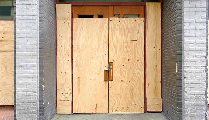 Plywood door - CenturyPly