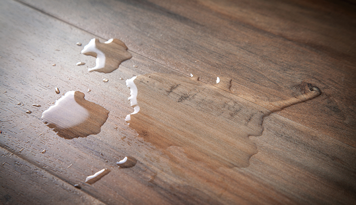 best laminates in India - CenturyPly