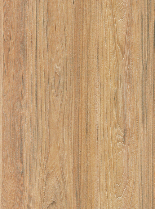 Swiss Elm 94747 SU | Interior Grade Laminates | CenturyExteria